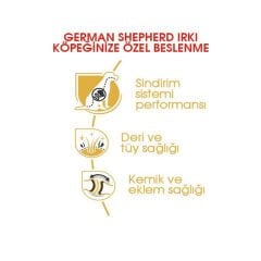 Royal Canin German Shepherd Yetişkin Alman Kurdu Köpek Maması 11 Kg