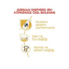 Royal Canin German Shepherd Yetişkin Köpek Maması 11 Kg