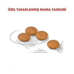 Royal Canin Mini Dermacomfort Küçük Irk Hassas Yetişkin Köpek Maması 3 Kg