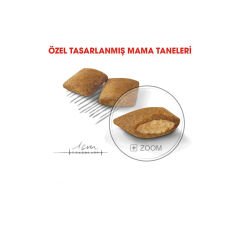 Royal Canin Mini Exigent Küçük Irk Seçici Köpekler İçin Kuru Mama 3 Kg