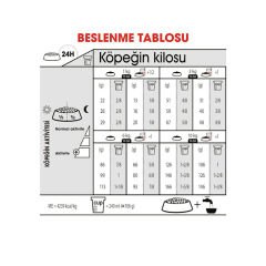 Royal Canin Mini Exigent Küçük Irk Seçici Köpekler İçin Kuru Mama 3 Kg