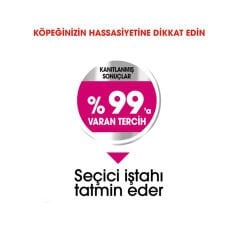 Royal Canin Mini Exigent Küçük Irk Seçici Köpekler İçin Kuru Mama 3 Kg