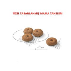 Royal Canin Mini Sterilised Küçük Irk Kısırlaştırılmış Köpek Maması 3 Kg