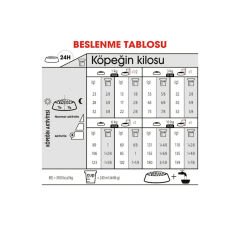 Royal Canin Mini Sterilised Küçük Irk Köpek Maması 3 Kg