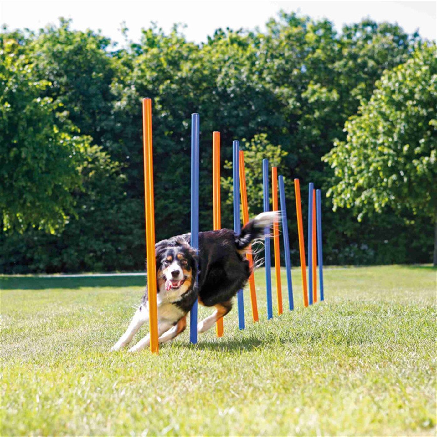 Trixie Köpek Agility Eğitim Direkleri 12 Adet 115 cm x 3 cm