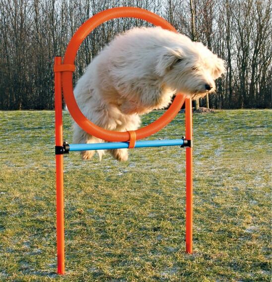 Trixie Köpek Agility Eğitim Çemberi 115 cm x 3 cm x 65 cm