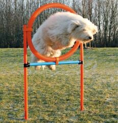 Trixie Köpek Agility Eğitim Çemberi 115 cm x 3 cm x 65 cm