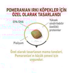 Royal Canin Pomeranian Yetişkin Köpek Irk Maması 3 Kg