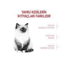 Royal Canin Kitten Yavru Kedi Maması 10Kg