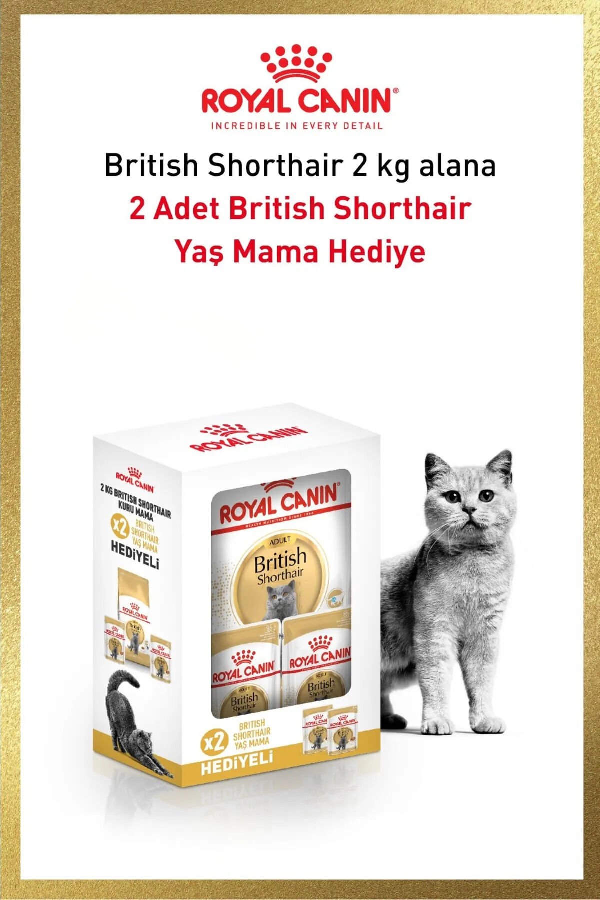 Royal Canin Brıtısh shorthaır 2 kg +2 adet pounch hediyeli Bundle