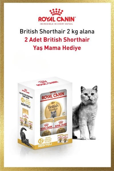 Royal Canin Brıtısh shorthaır 2 kg +2 adet pounch hediyeli Bundle