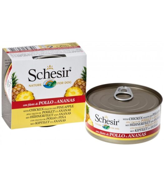 Schesir Fruit Tavuk ve Ananas Yetişkin Köpek Konservesi 150 Gr