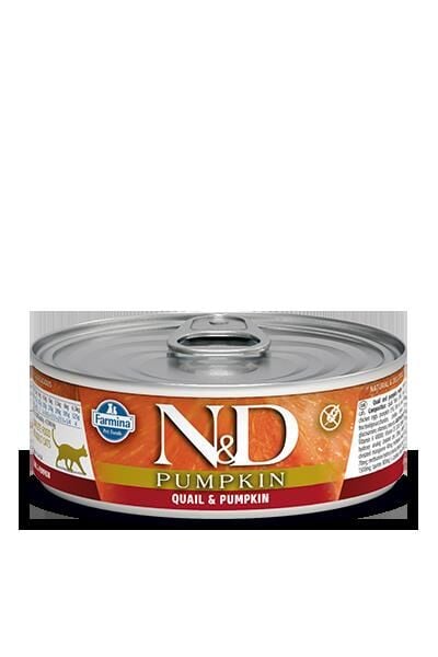N&D Kedi Bıldırcın & Balkabağı 70 Gr