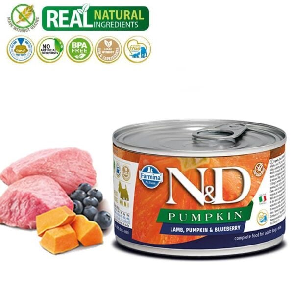 N&D Köpek Konserve Yaban Mersinli Mini