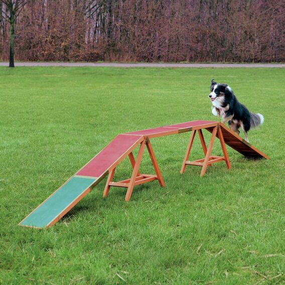 Trixie Köpek Agility Eğitim Köprüsü 456 cm x 64 cm x 30 cm