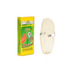 Gold Wings Classic Kutu Mürekkep Balığı Kemiği (Kalamar)