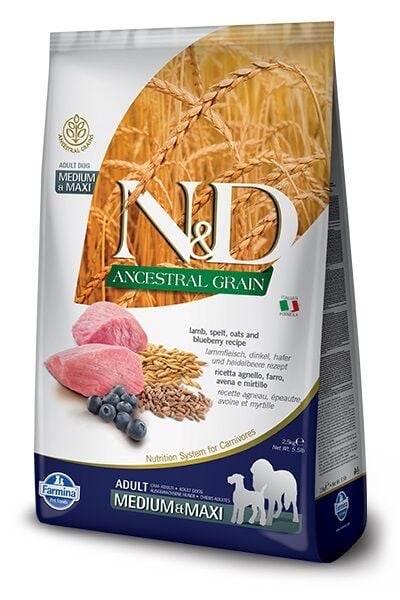 N&D Düşük İlkel Tahıllı Kuzu&Yaban Mersinli Orta&Büyük Irk Köpek Maması 12K