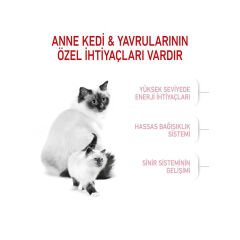 Royal Canin Babycat Yavru Kedi Maması 4Kg