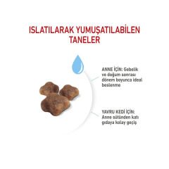 Royal Canin Babycat Yavru Kedi Maması 4Kg
