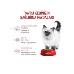 Royal Canin Kitten Yavru Kedi Maması 400Gr