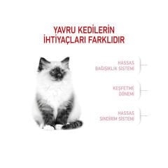 Royal Canin Kitten Yavru Kedi Maması 400Gr