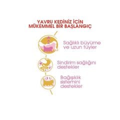 Royal Canin Kitten Persian Kedi Maması 2Kg