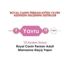 Royal Canin Kitten Persian Kedi Maması 2Kg
