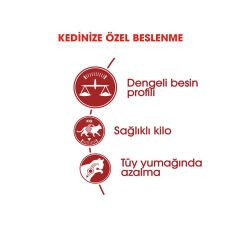 Royal Canin Fit Kedi Maması 2Kg