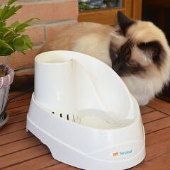 Ferplast Vega Otomatik Şelale Kedi Su Kabı