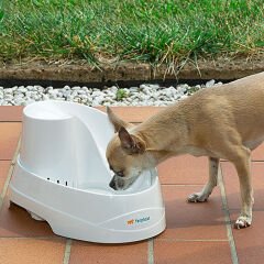 Ferplast Vega Otomatik Şelale Kedi Su Kabı