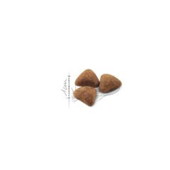 Royal Canin Indoor Yetişkin Kedi Maması 400Gr