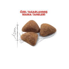 Royal Canin Indoor Yetişkin Kedi Maması 400Gr
