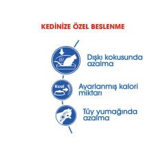 Royal Canin Indoor Yetişkin Kedi Maması 400Gr