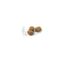 Royal Canin Indoor+7 Yaşlı Kedi Maması 3.5Kg