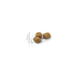 Royal Canin Indoor+7 Yaşlı Kedi Maması 3.5Kg