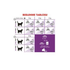 Royal Canin Sensible Kedi Maması 400Gr