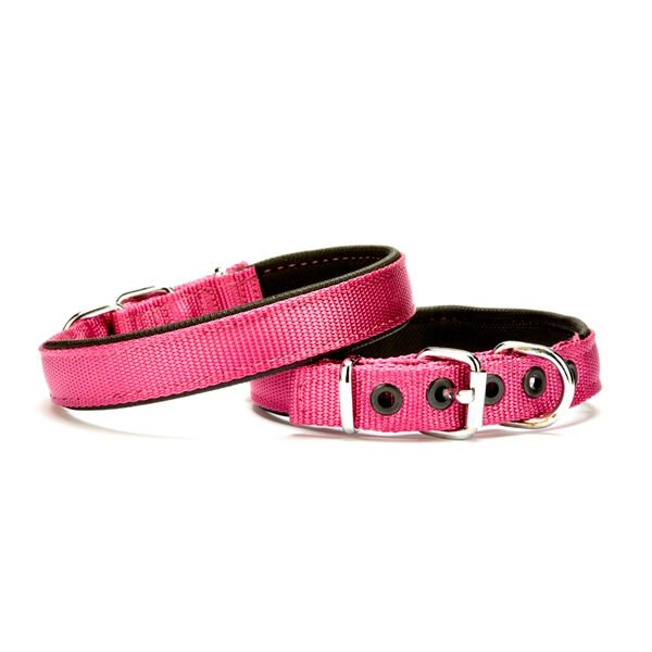 Doggie Dokuma Softlu Sade Köpek Boyun Tasması Mor DSBT-2510 M
