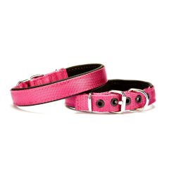 Doggie Dokuma Softlu Sade Köpek Boyun Tasması Mor DSBT-2510 M
