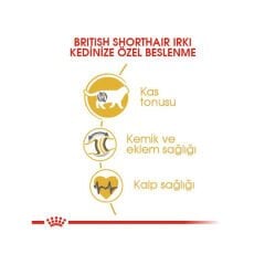Royal Canin British Shorthair Yetişkin Kedi Maması 400Gr