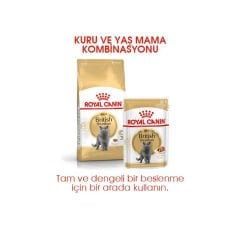 Royal Canin British Shorthair Yetişkin Kedi Maması 400Gr
