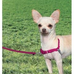 PetSafe Easy Walk Harness Pembe Köpek Göğüs Tasması XSmall 30-40 cm