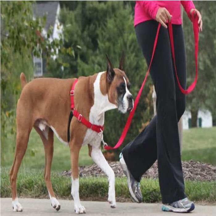 PetSafe Easy Walk Harness Kırmızı Köpek Göğüs Tasması XLarge 86-117 cm