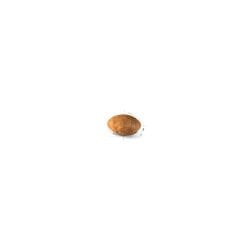Royal Canin Persian Kedi Maması 2Kg