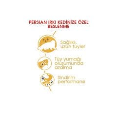 Royal Canin Persian Kedi Maması 2Kg