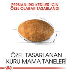 Royal Canin Persian Kedi Maması 4Kg
