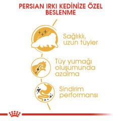 Royal Canin Persian Kedi Maması 4Kg