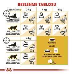 Royal Canin Persian Kedi Maması 4Kg