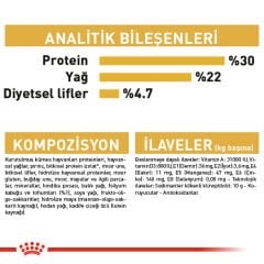 Royal Canin Persian Kedi Maması 4Kg