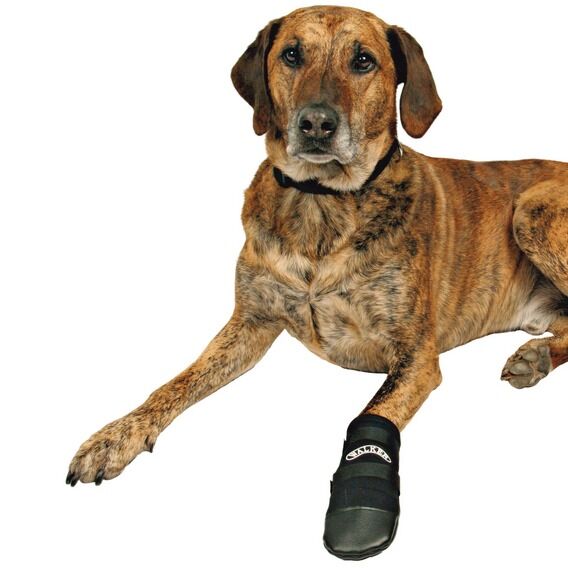 Trixie Walker Köpek Neopren Patiği 2 Adet Xlarge Siyah