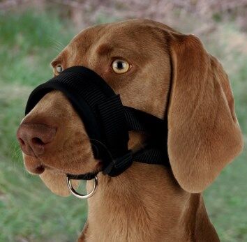 Trixie Köpek Ağızlık, L ( Doberman )
